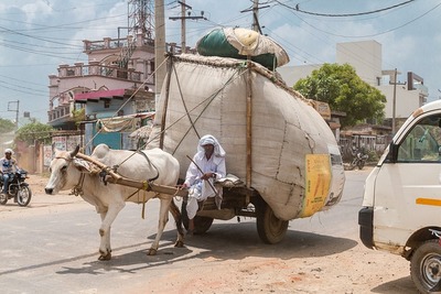 kar met paard pixabay shaq64 india 4780853 640