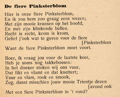 lied pinksterblom tekst