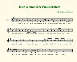 lied pinksterblom