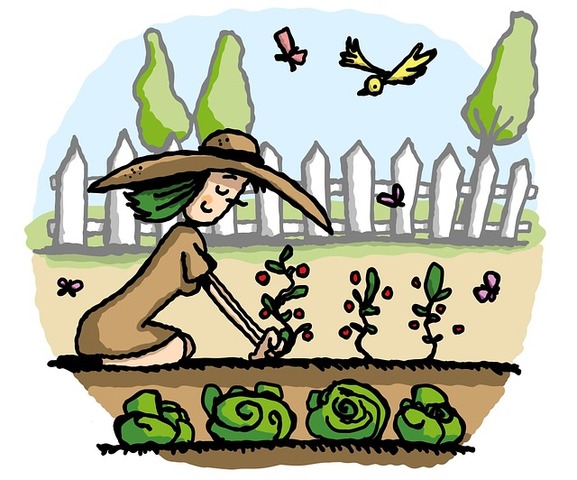 pixabay richardsdrawings garden 7833569 640