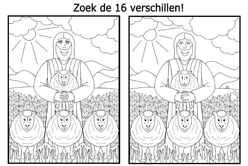 schapen zoek de verschillen