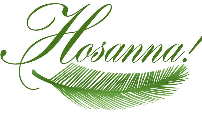 hosanna700