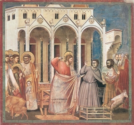 giotto temelreiniging